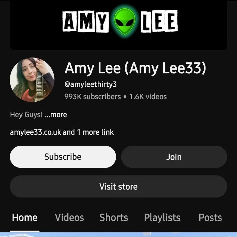 The Magical World Of Amy Lee Hardcover Book - Picture 4 of 4